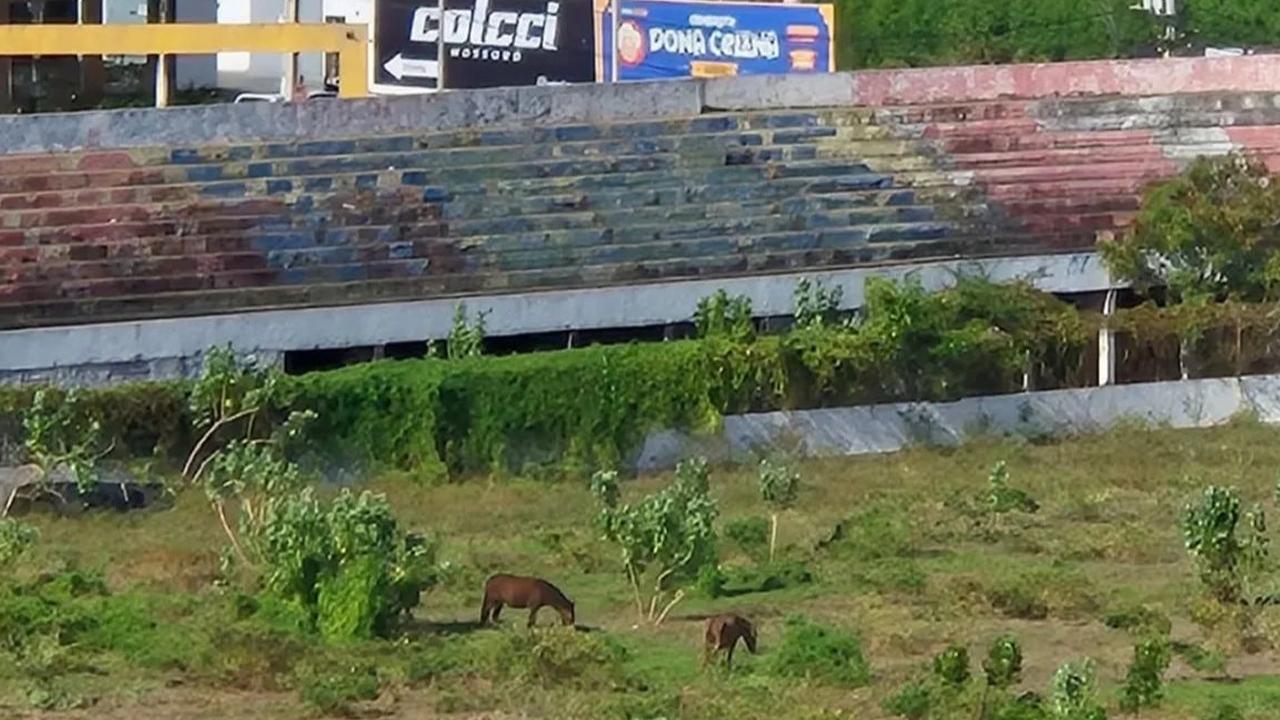 Concessão do Nogueirão tem valor estimado em R$ 44 milhões